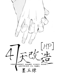 [HP]47天改造